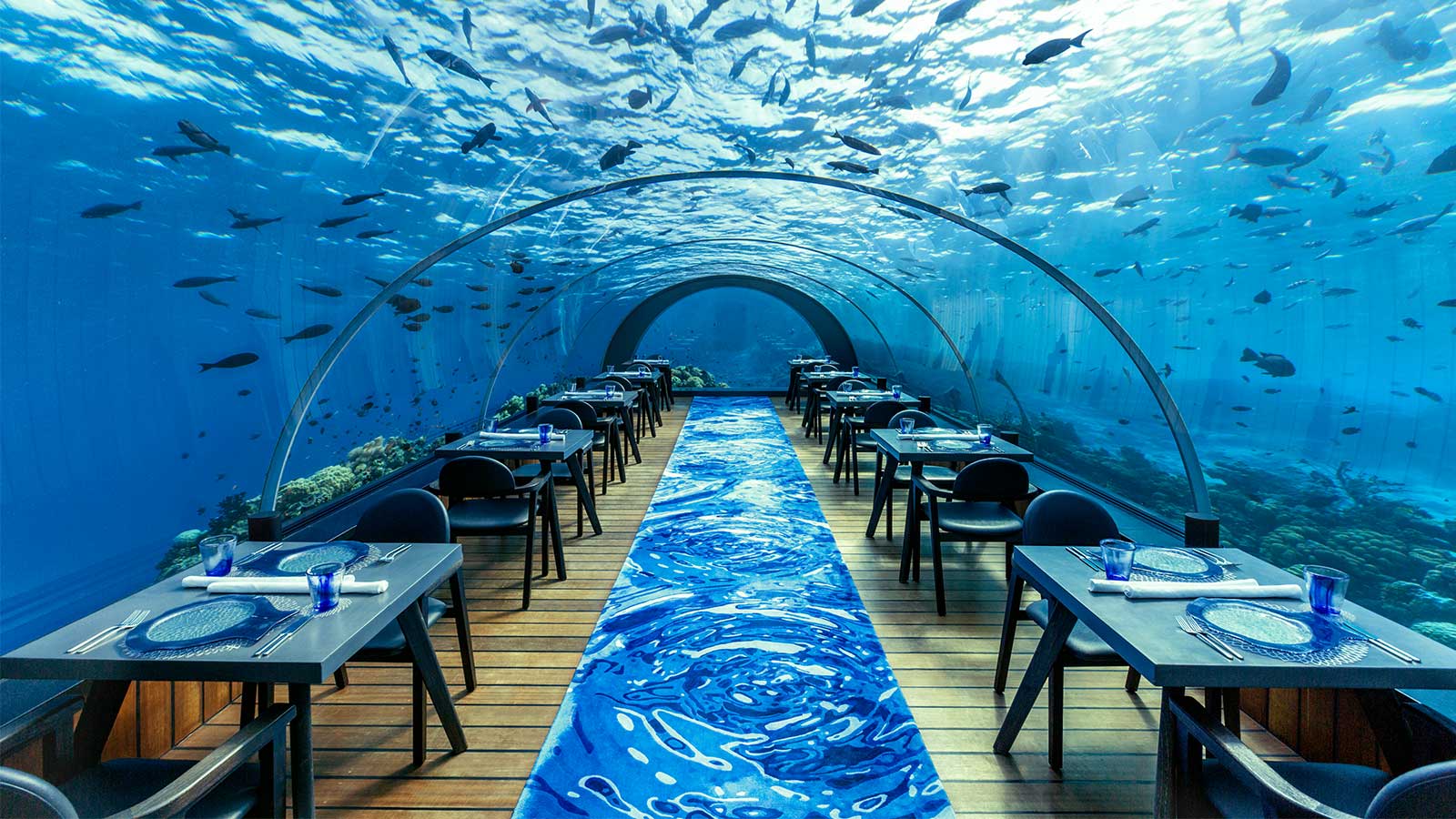 Dine With The Fishes: The Top 5 Underwater Restaurants
