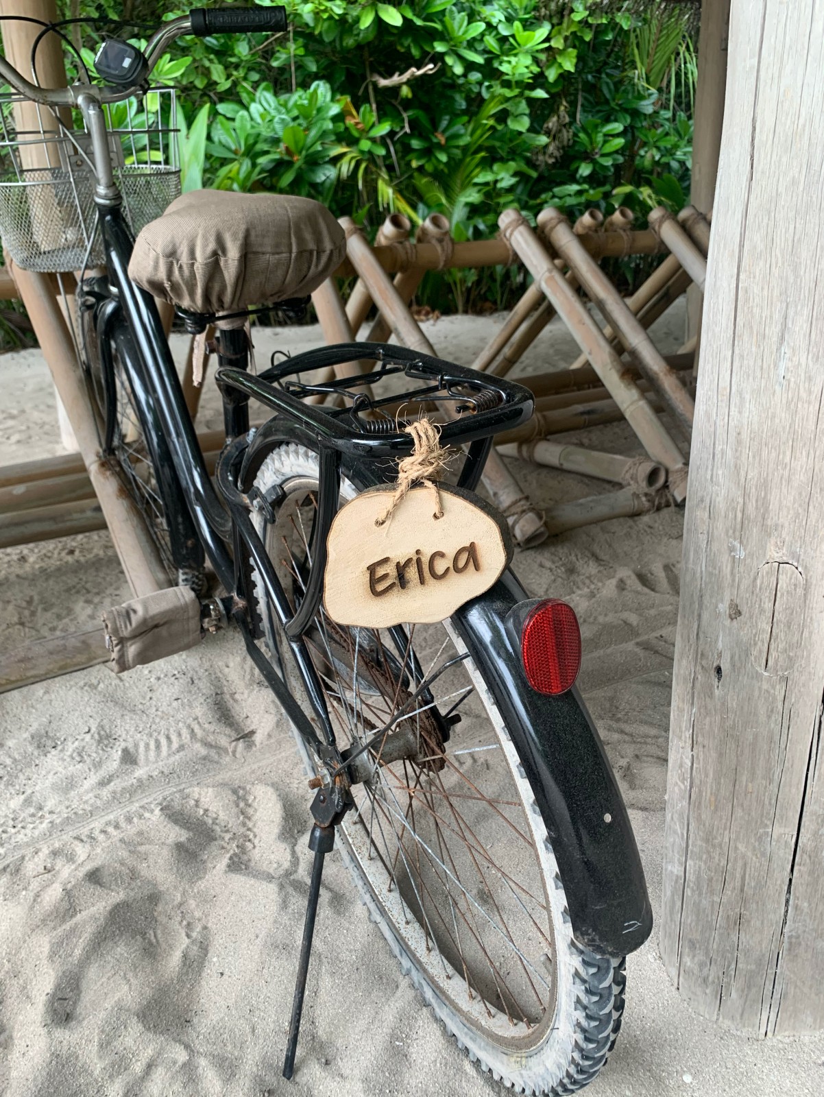 Erica's bicycle